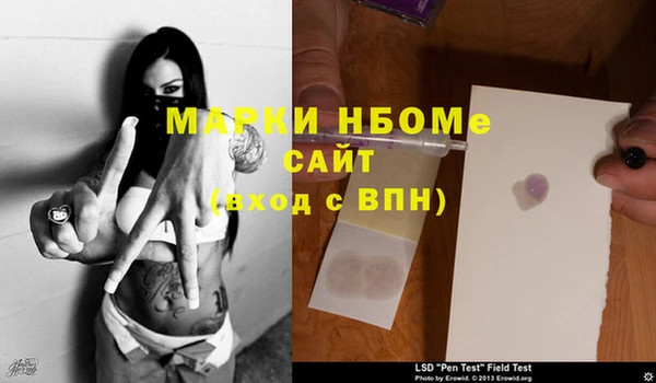 индика Алексин