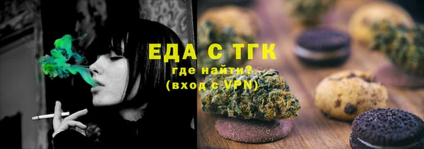 индика Алексин