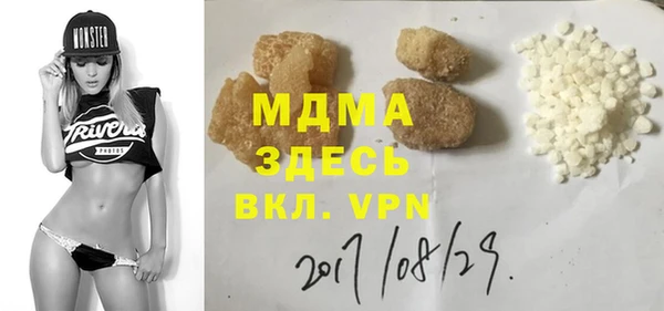 индика Алексин