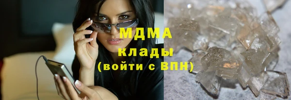 индика Алексин
