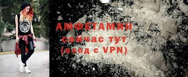 индика Алексин