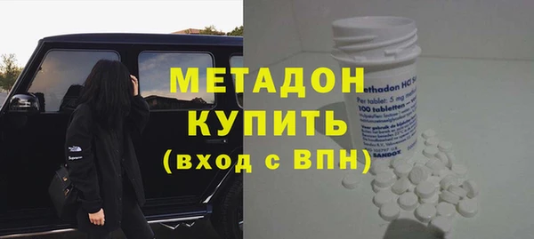 индика Алексин