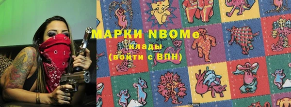 индика Алексин