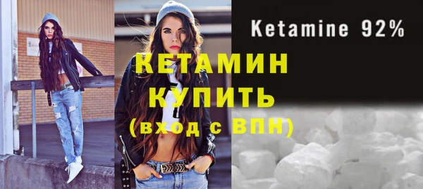 индика Алексин