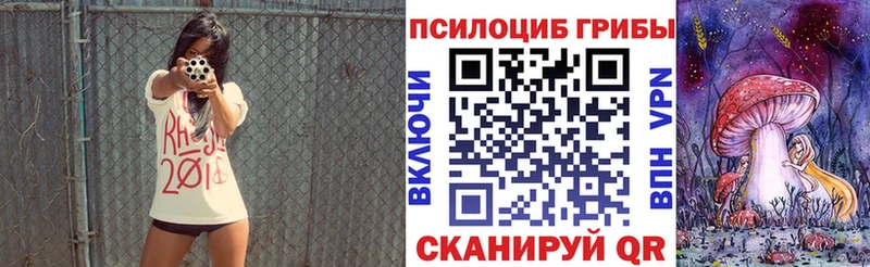 дарнет шоп блэк спрут онион Галлюциногенные грибы Magic Shrooms Зуевка